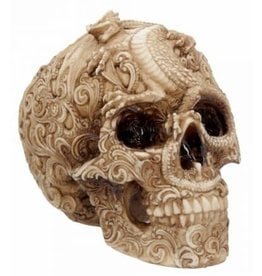 Alator Skull with engraved Dragon ornament Cranial Drakos - Nemesis Now