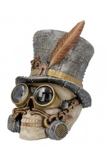 Alator Schedels - Steampunk Schedel Count Archibald - Nemesis Now