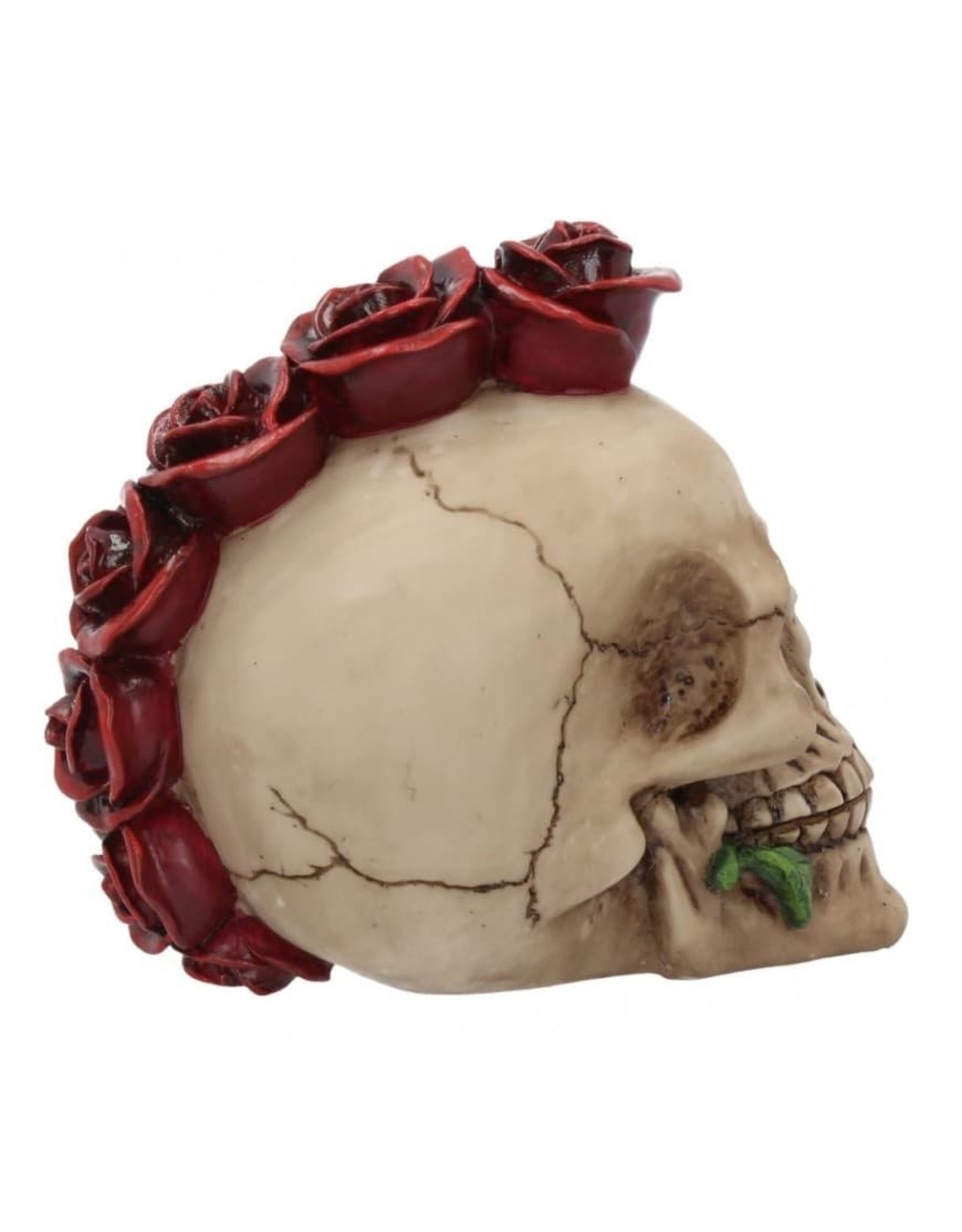 Alator Skulls - Skull Rosehawk Nemesis Now