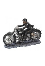 James Ryman Giftware & Lifestyle - Skeleton on the motorbike Hell on the Highway James Ryman