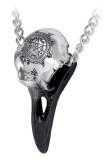 Alchemy Gothic jewellery Steampunk jewellery - Alchemy VOLVAN RAVENSKULL Necklace