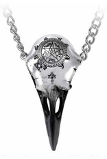 Alchemy Gothic jewellery Steampunk jewellery - Alchemy VOLVAN RAVENSKULL Necklace