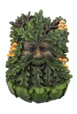 NemesisNow Giftware, beelden, collectables - Tree Spirit Elderwood wanddecoratie