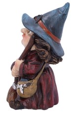 NemesisNow Giftware Figurines Collectables - Witch figurine Toil