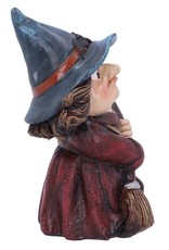 NemesisNow Giftware Figurines Collectables - Witch figurine Toil