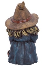 NemesisNow Giftware Figurines Collectables - Witch figurine Trouble