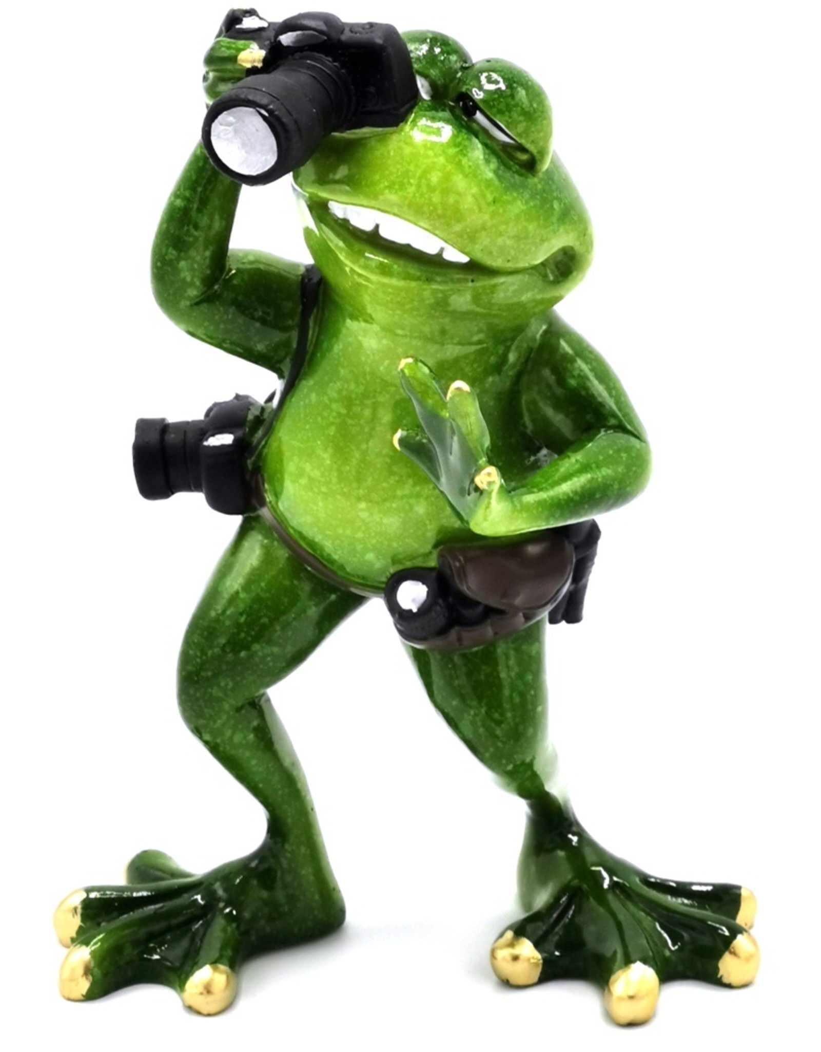 Goldbach Giftware Figurines Collectables - Frog photographer figurine - 17 cm, polyresin
