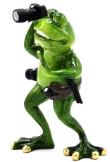 Goldbach Giftware Figurines Collectables - Frog photographer figurine - 17 cm, polyresin