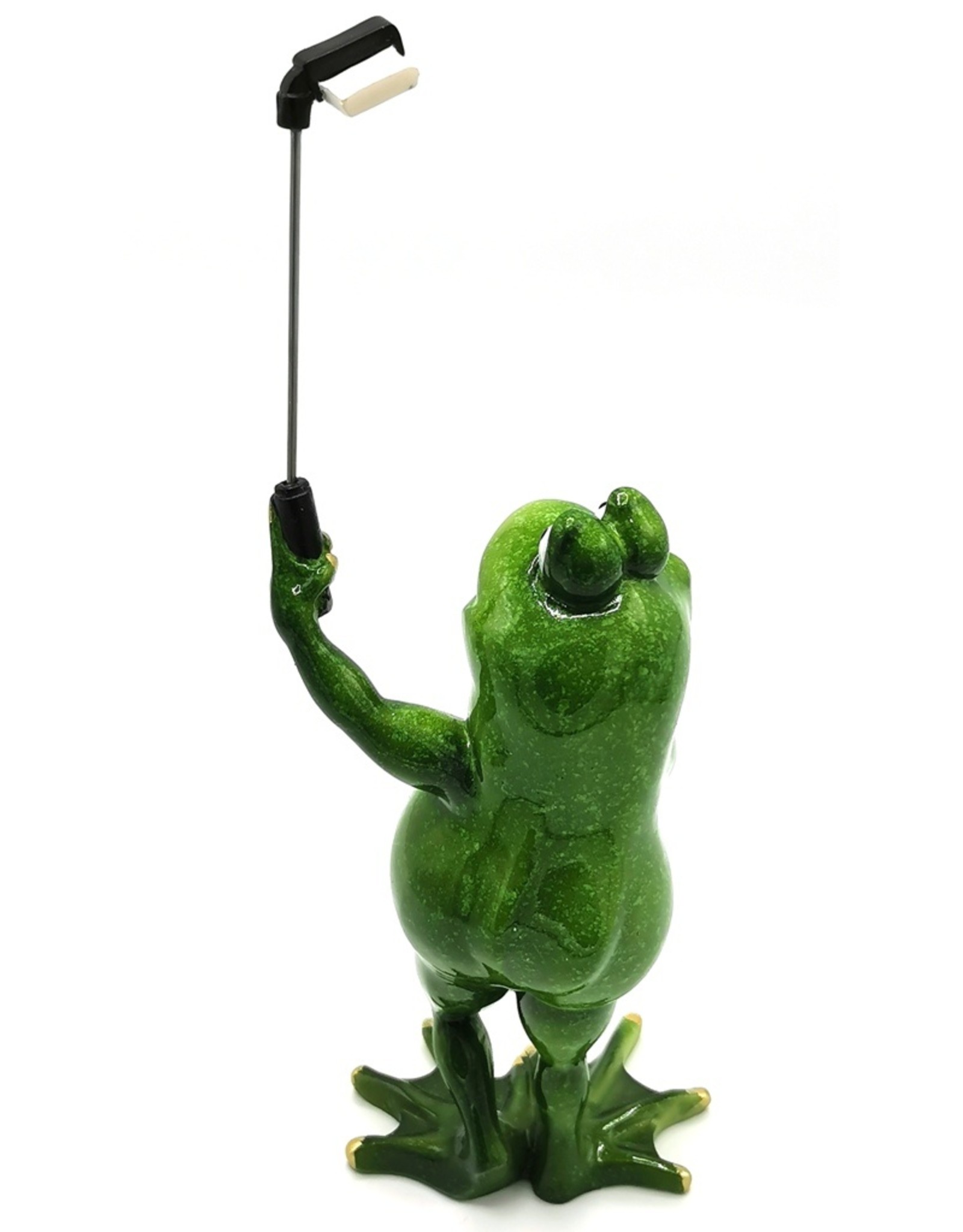 Goldbach Giftware, beelden, collectables - Kikker met Selfie stick beeld - 28cm, polyresin