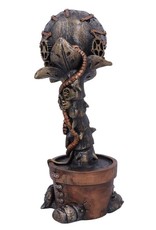 NemesisNow Giftware Beelden Collectables  - Steampunk vleesetende plant beeld 24,3cm