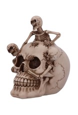 Alator Giftware & Lifestyle - Breaking Free Skelet komt uit schedel ornament