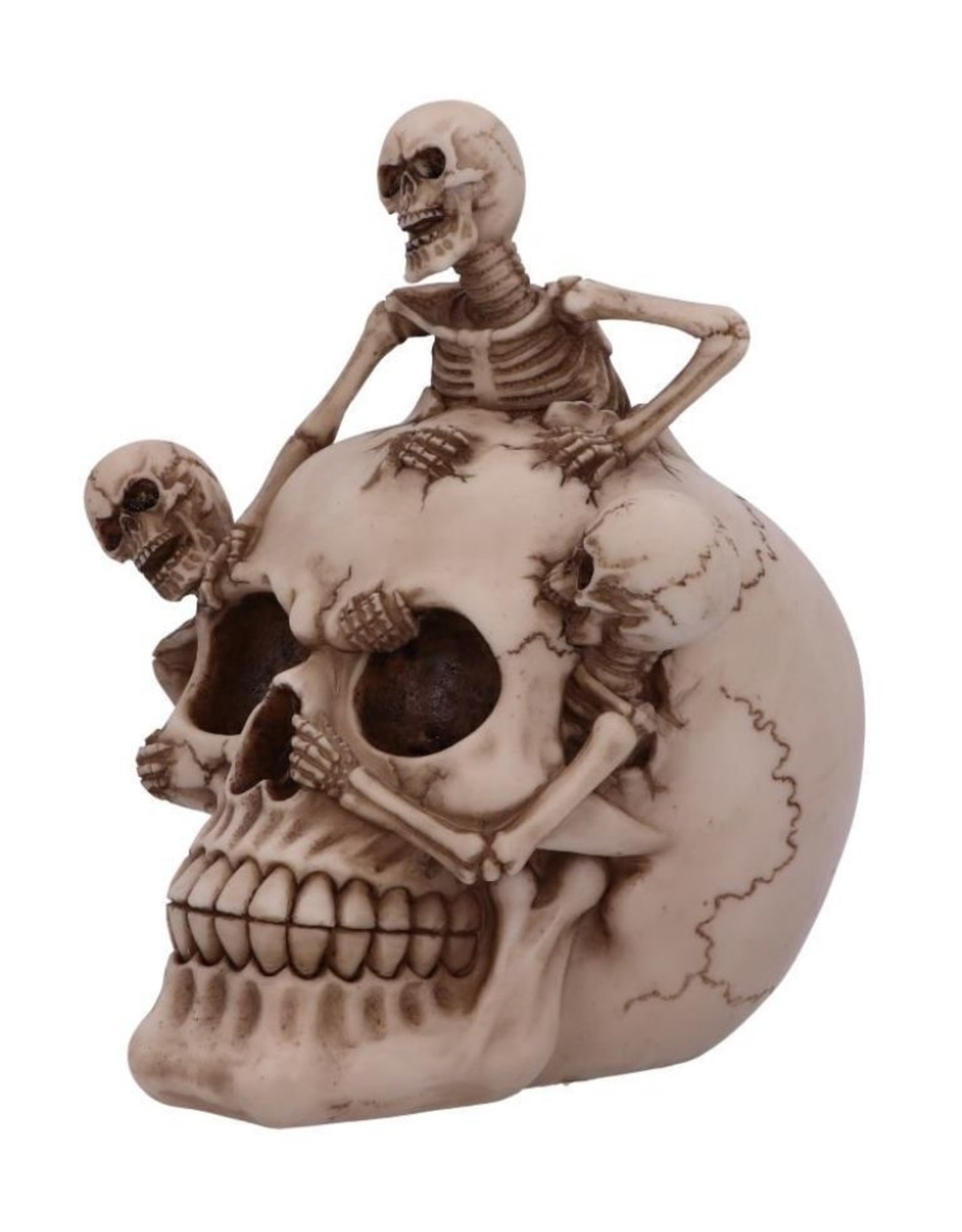 Alator Giftware & Lifestyle - Breaking Free Skeleton Emerging from Skull Ornament