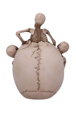Alator Giftware & Lifestyle - Breaking Free Skeleton Emerging from Skull Ornament