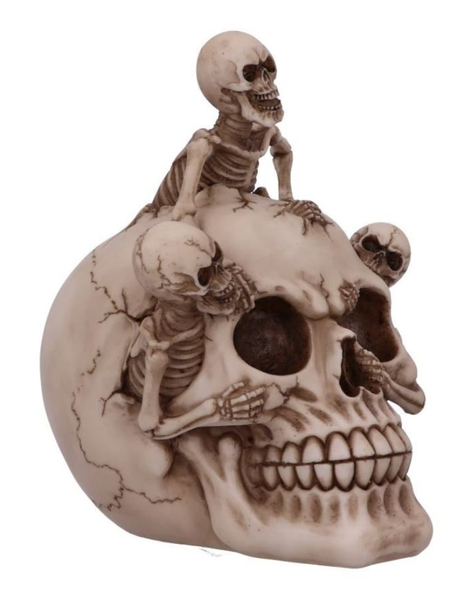 Alator Giftware & Lifestyle - Breaking Free Skeleton Emerging from Skull Ornament