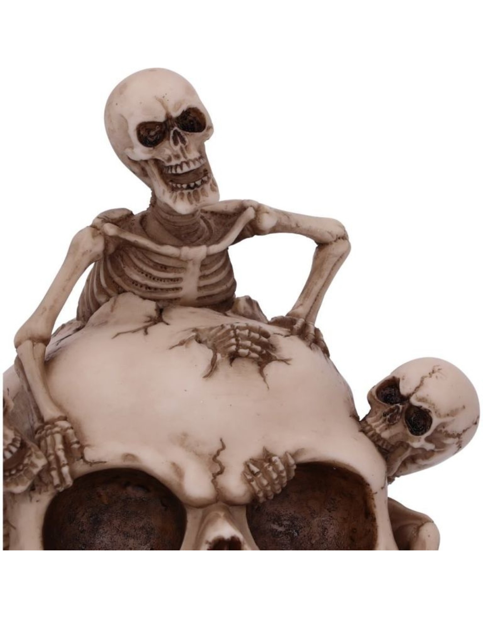 Alator Giftware & Lifestyle - Breaking Free Skeleton Emerging from Skull Ornament