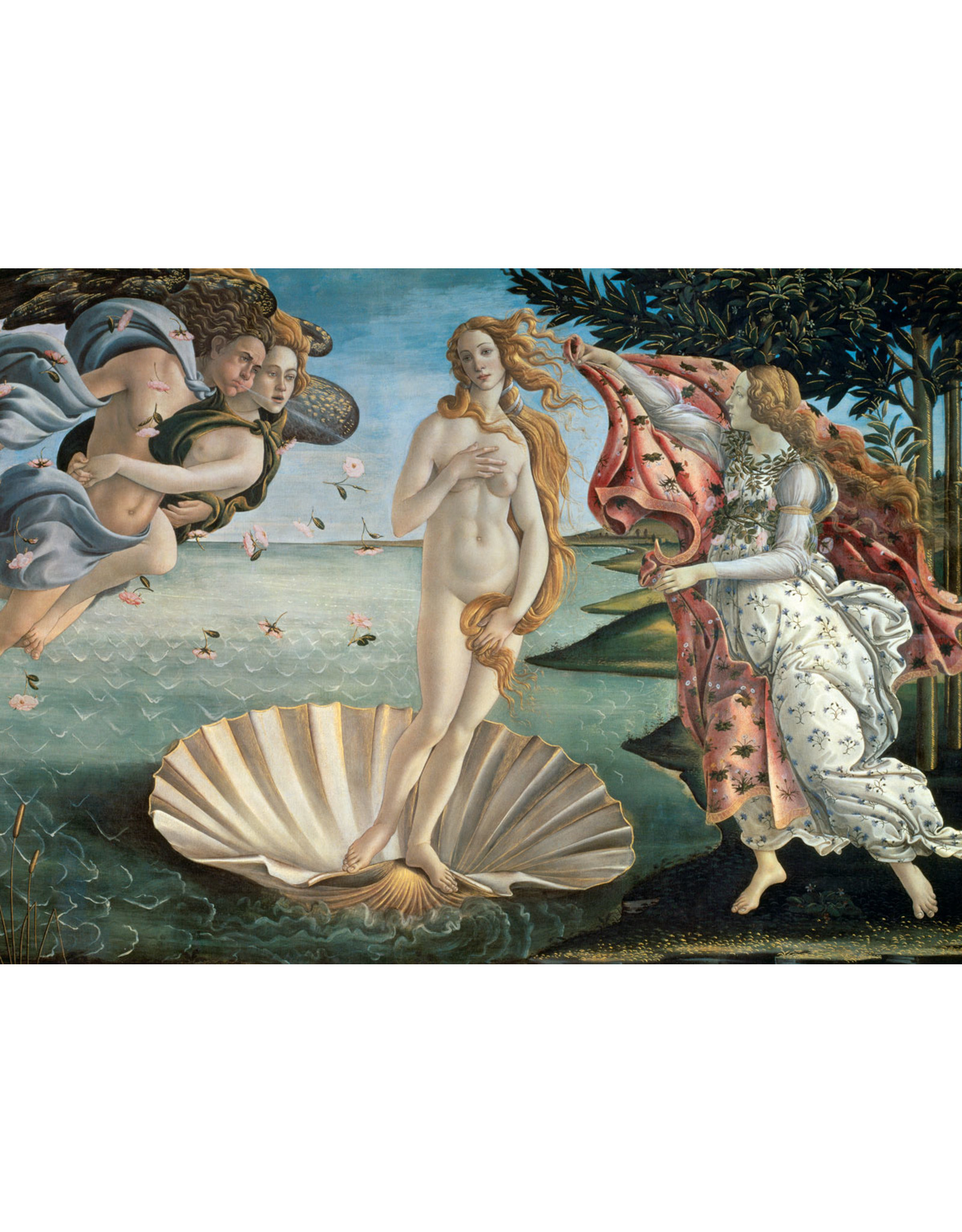 Eurographics Puzzle Sandro Botticelli Birth of Venus 1000 pcs