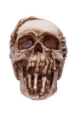 James Ryman bij Nemesis Now Giftware & Lifestyle - Breaking Out Skull - James Ryman