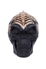 James Ryman bij Nemesis Now Giftware & Lifestyle - Spine Head Skull James Ryman