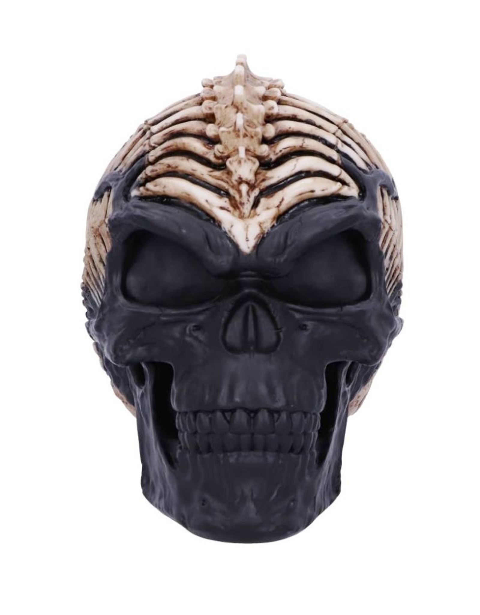 James Ryman bij Nemesis Now Giftware & Lifestyle - Spine Head Skull James Ryman