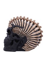 James Ryman bij Nemesis Now Giftware & Lifestyle - Spine Head Skull James Ryman