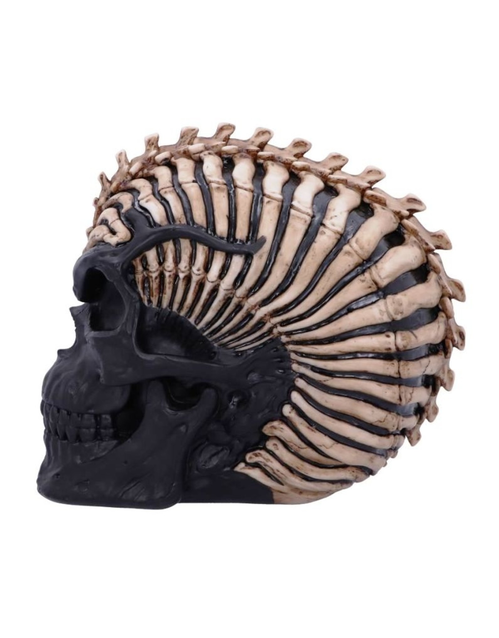 James Ryman bij Nemesis Now Giftware & Lifestyle - Spine Head Skull James Ryman