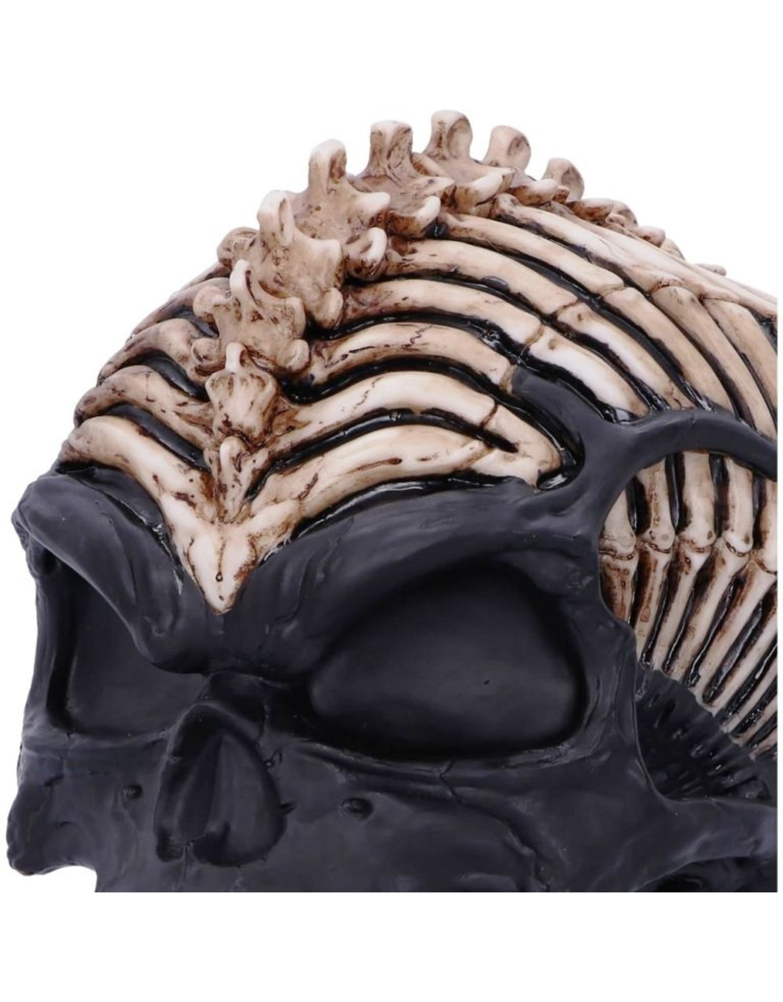 James Ryman bij Nemesis Now Giftware & Lifestyle - Spine Head Skull James Ryman