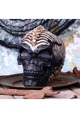 James Ryman bij Nemesis Now Giftware & Lifestyle - Spine Head Skull James Ryman