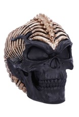 James Ryman bij Nemesis Now Giftware & Lifestyle - Spine Head Skull James Ryman