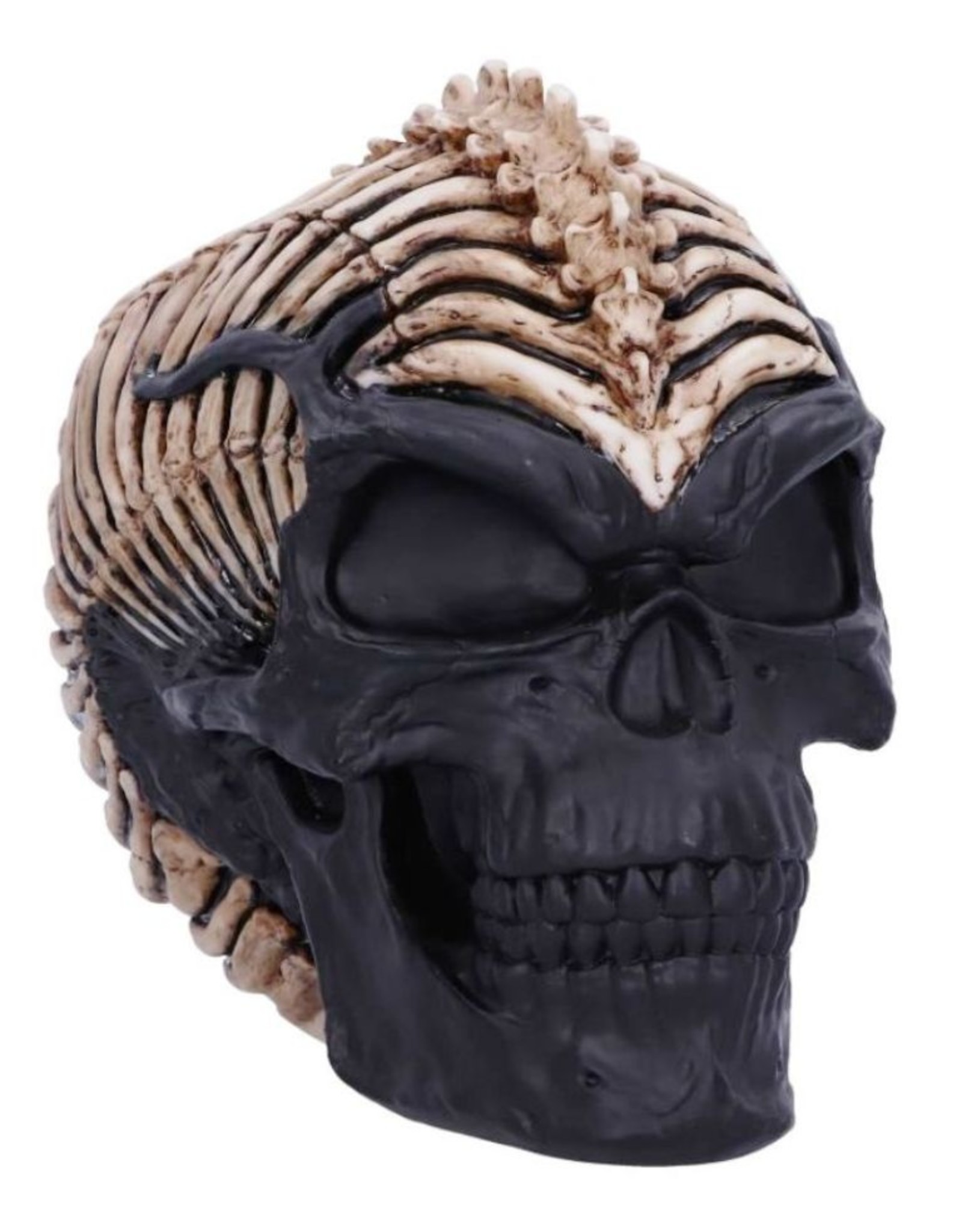 James Ryman bij Nemesis Now Giftware & Lifestyle - Spine Head Skull James Ryman