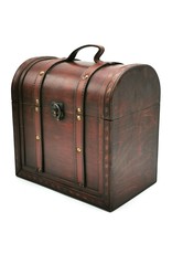 Trukado Miscellaneous - Treasure Chest Large 26m x 25cm x 17cm