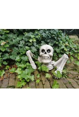 Trukado Miscellaneous - Skeleton with Sound and Light Bonnie 40cm