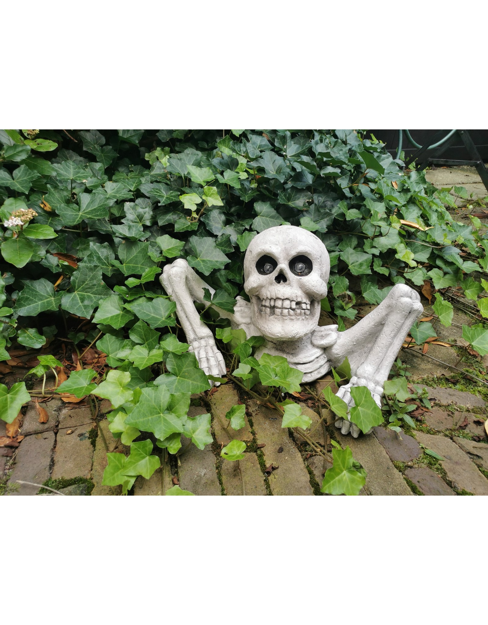 Trukado Miscellaneous - Skeleton with Sound and Light Bonnie 40cm