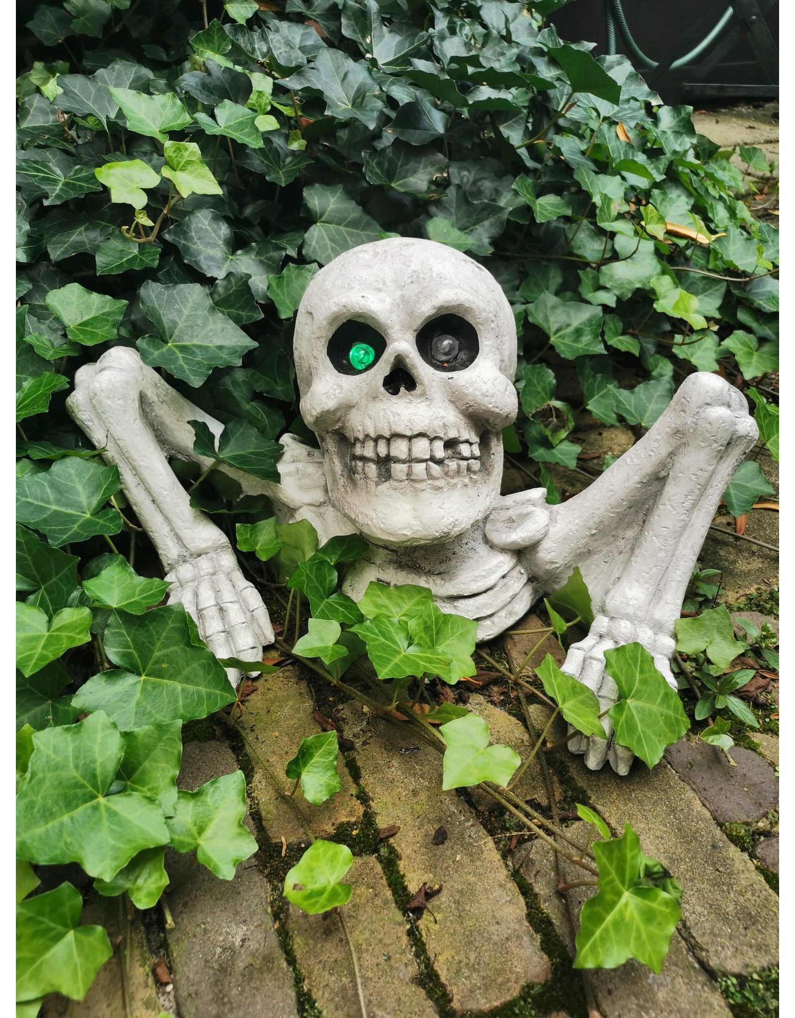 Trukado Miscellaneous - Skeleton with Sound and Light Bonnie 40cm