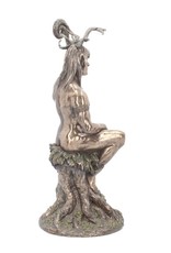 Veronese Design Giftware & Lifestyle - Herne The Hunter of Windsor Forrest Bronzed Figurine 27.5cm