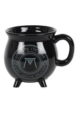 Anne Stokes Giftware & Lifestyle -  Color Changing Cauldron Mug Yule Anne Stokes