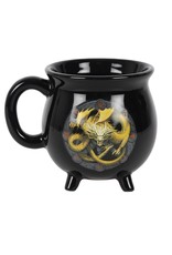 Anne Stokes Giftware & Lifestyle - Color Changing Cauldron Mug Imbolc Anne Stokes