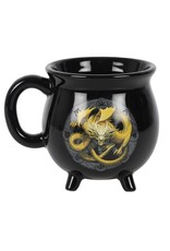 Anne Stokes Giftware & Lifestyle - Color Changing Cauldron Mug Imbolc Anne Stokes