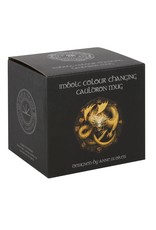 Anne Stokes Giftware & Lifestyle - Color Changing Cauldron Mug Imbolc Anne Stokes