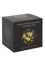 Anne Stokes Giftware & Lifestyle -  Color Changing Cauldron Mug Mabon Anne Stokes