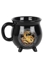 Anne Stokes Giftware & Lifestyle - Color Changing Cauldron Mug Litha Anne Stokes