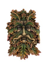 Something Different Miscellaneous - Green Man Face Plaque 22cm