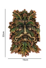 Something Different Miscellaneous - Green Man Face Plaque 22cm