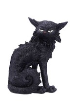 Alator Giftware & Lifestyle - Witches Familiar Figure  Black Cat Salem 19,6cm