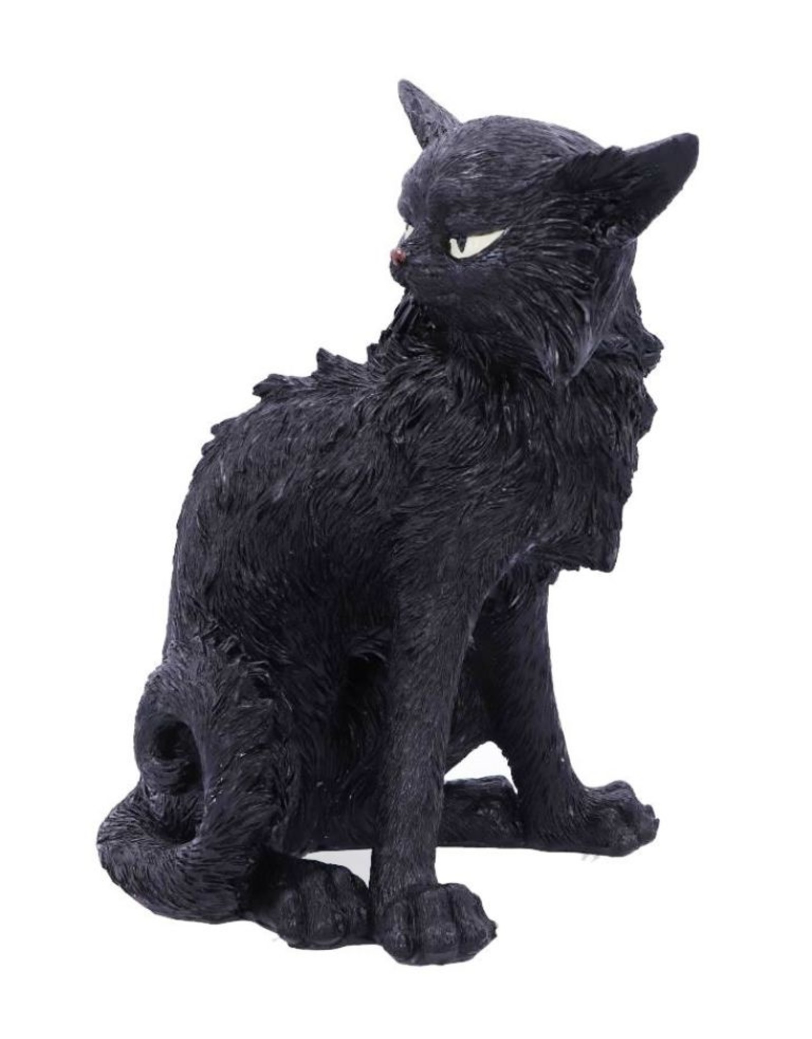 Alator Giftware & Lifestyle - Witches Familiar Figure  Black Cat Salem 19,6cm