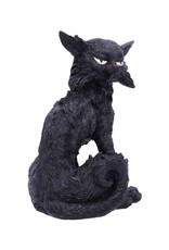 Alator Giftware & Lifestyle - Witches Familiar Figure  Black Cat Salem 19,6cm