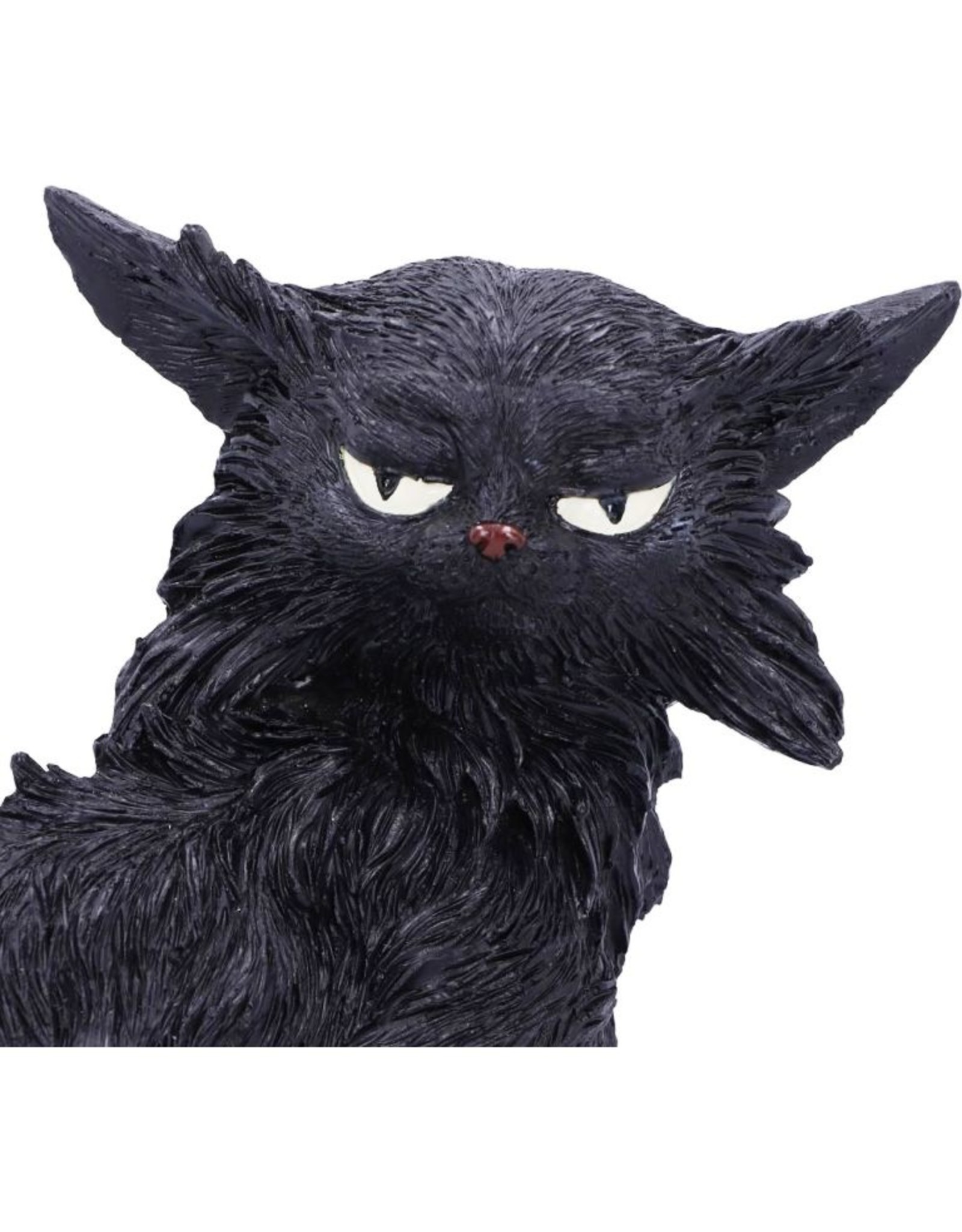 Alator Giftware & Lifestyle - Witches Familiar Figure  Black Cat Salem 19,6cm