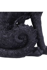 Alator Giftware & Lifestyle - Witches Familiar Figure  Black Cat Salem 19,6cm