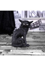 Alator Giftware & Lifestyle - Witches Familiar Figure  Black Cat Salem 19,6cm