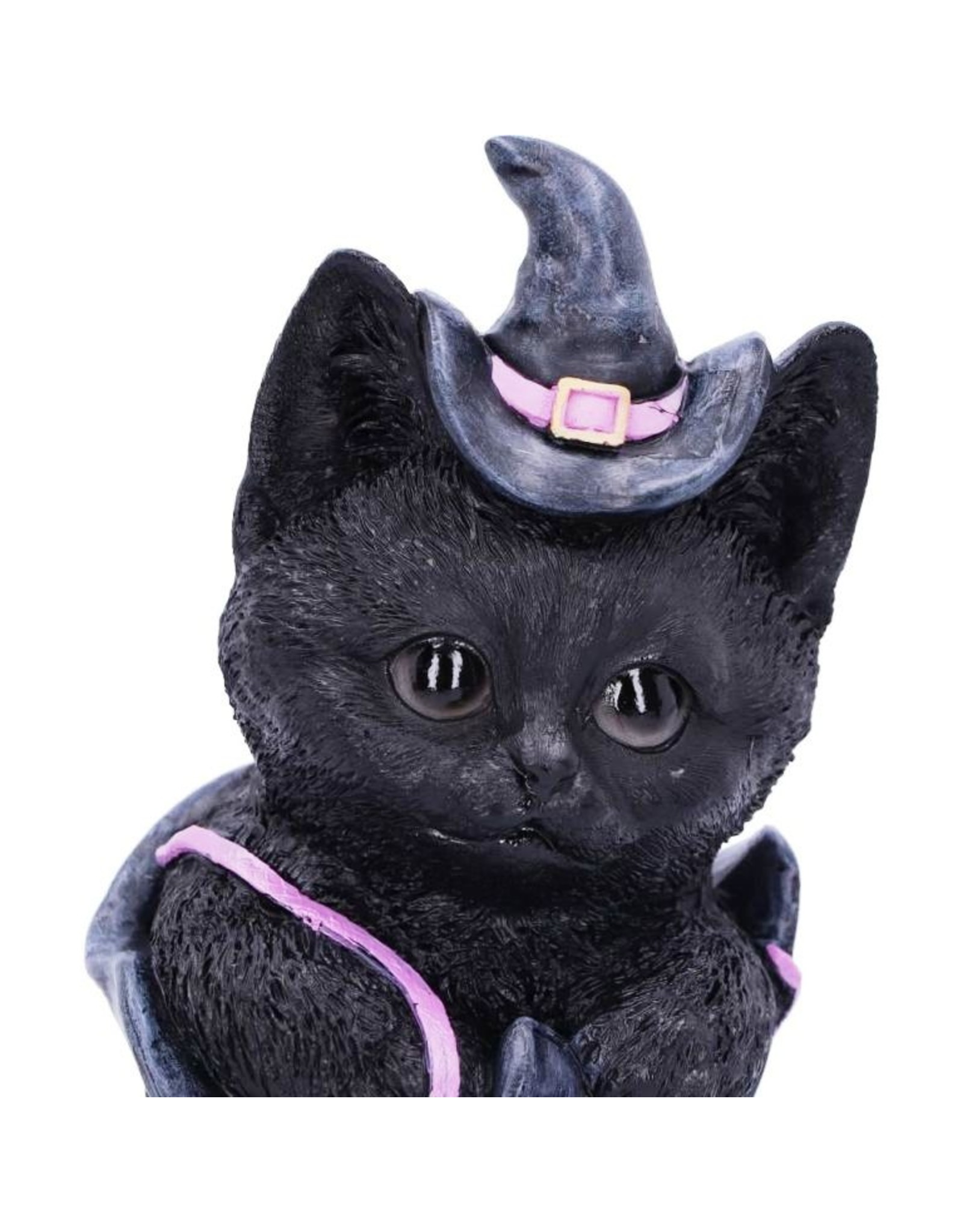 Alator Giftware & Lifestyle - Black Cat with witch hat sitting in Boot Figurine 18.5cm