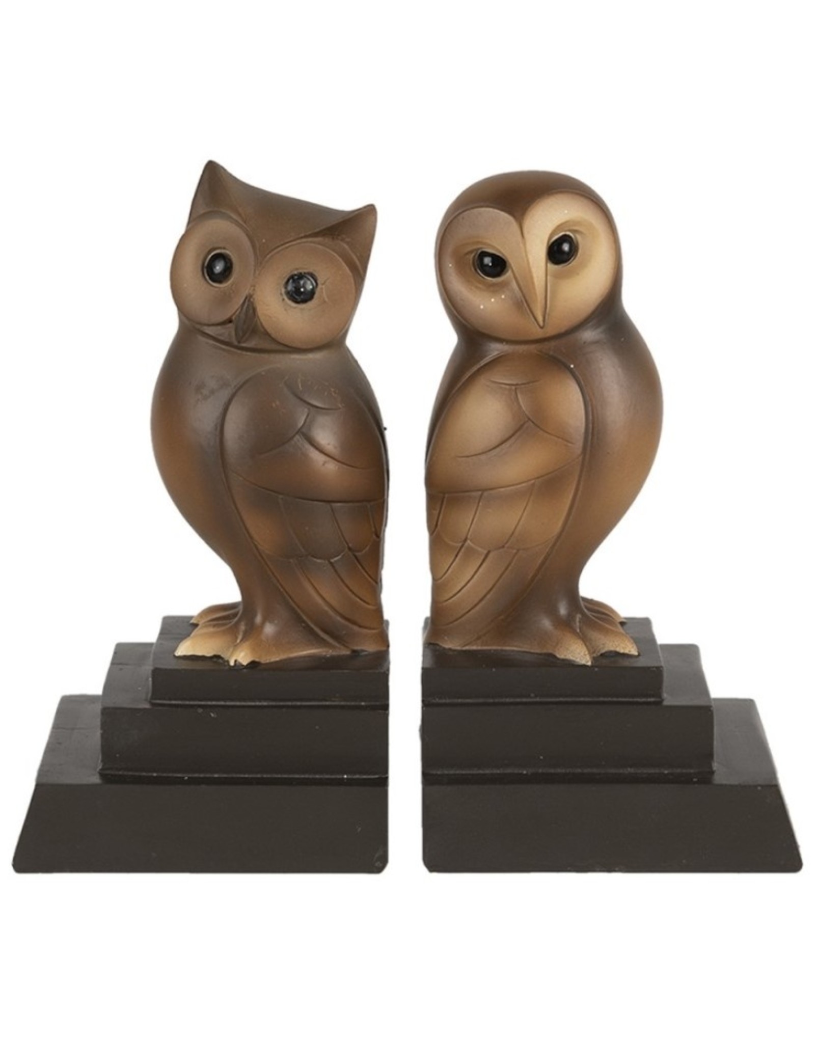 C&E Miscellaneous - Owl Bookends Set of 2, brown